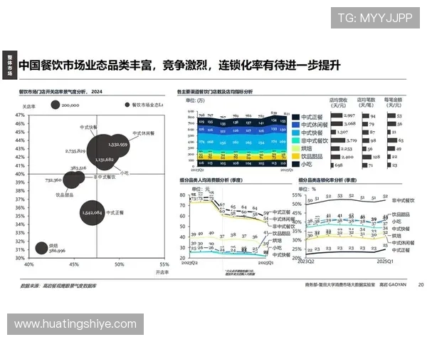深入分析BLG的运营策略与市场表现全景解读
